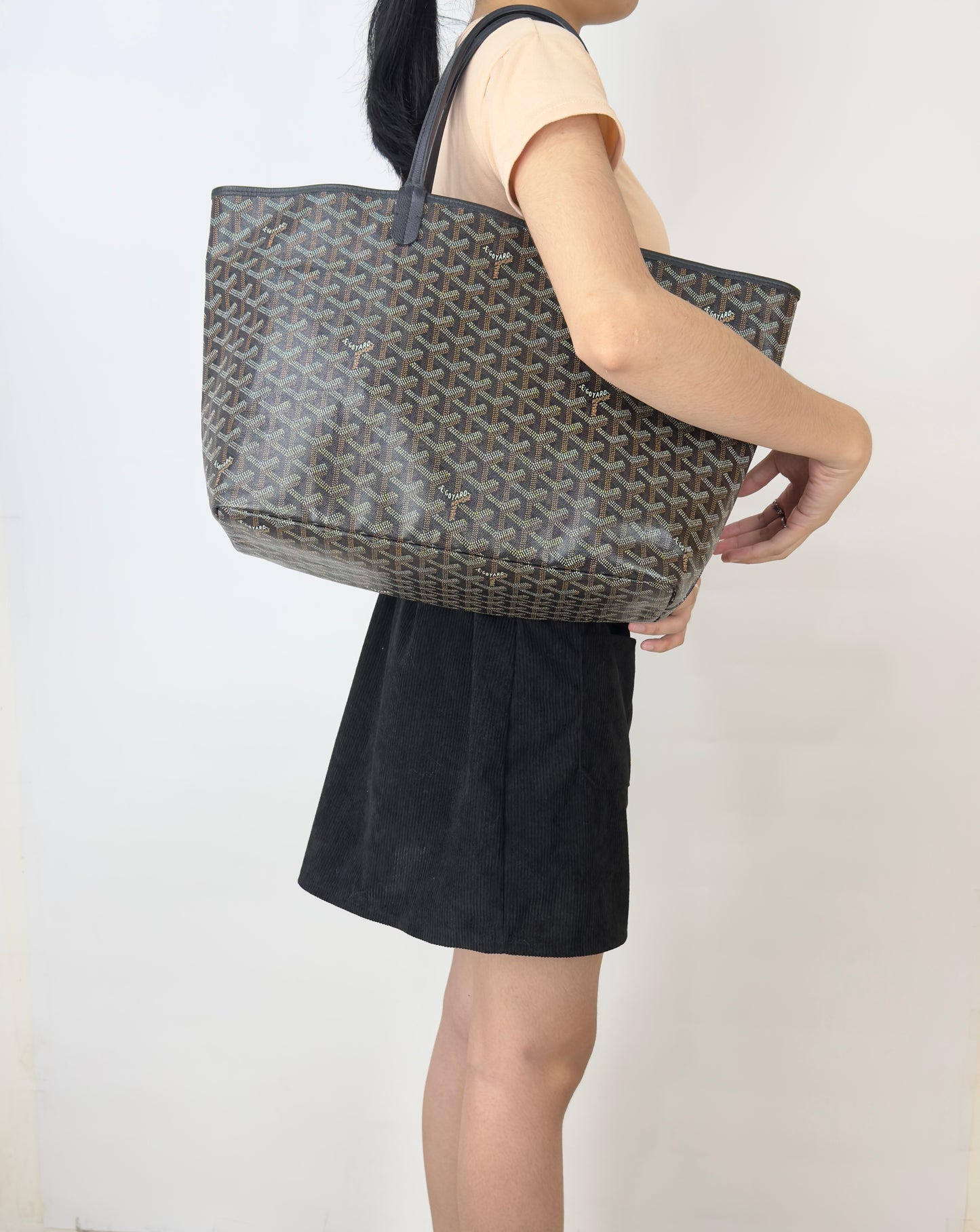 Goyard St Louis Pm