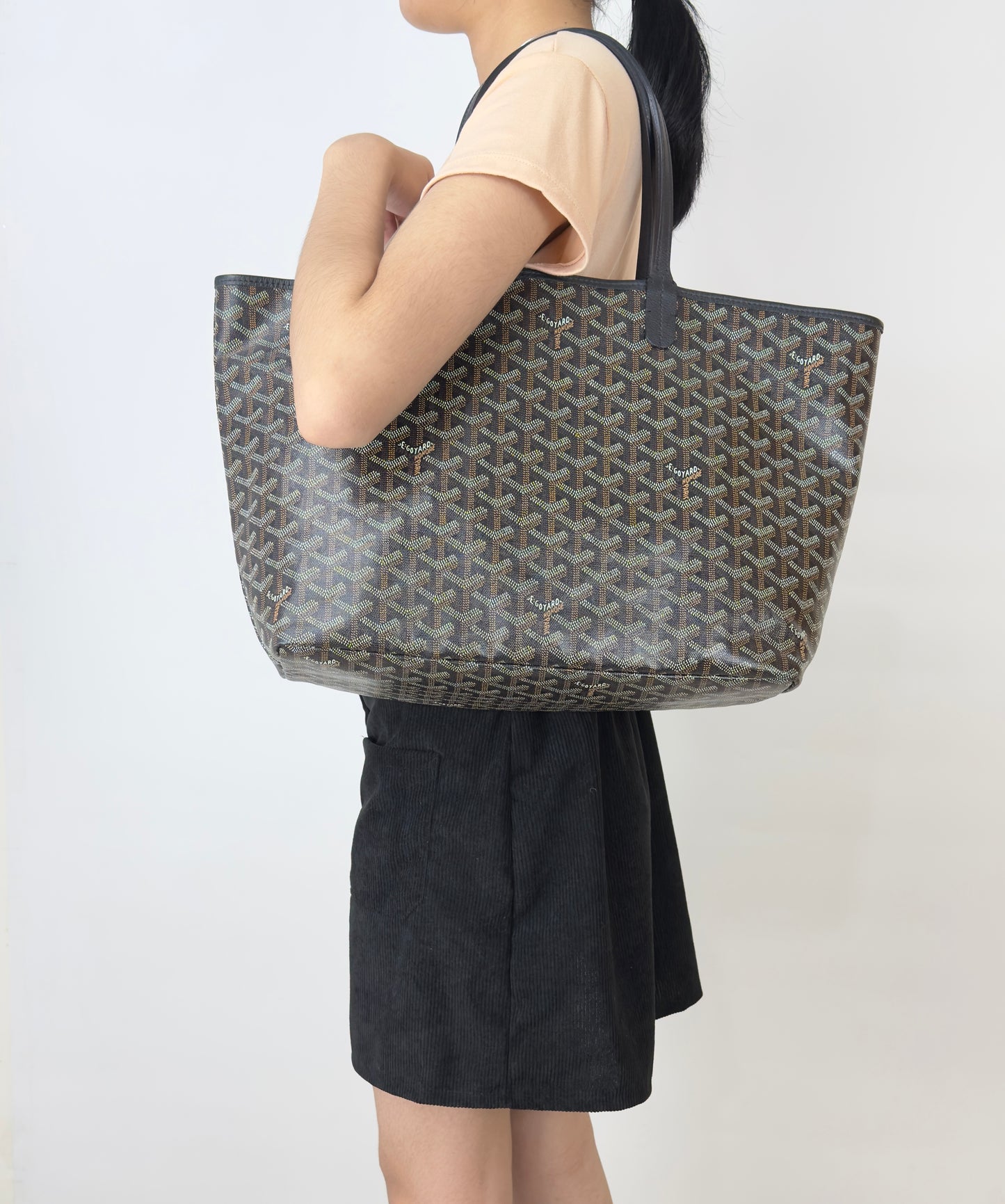 Goyard St Louis Pm