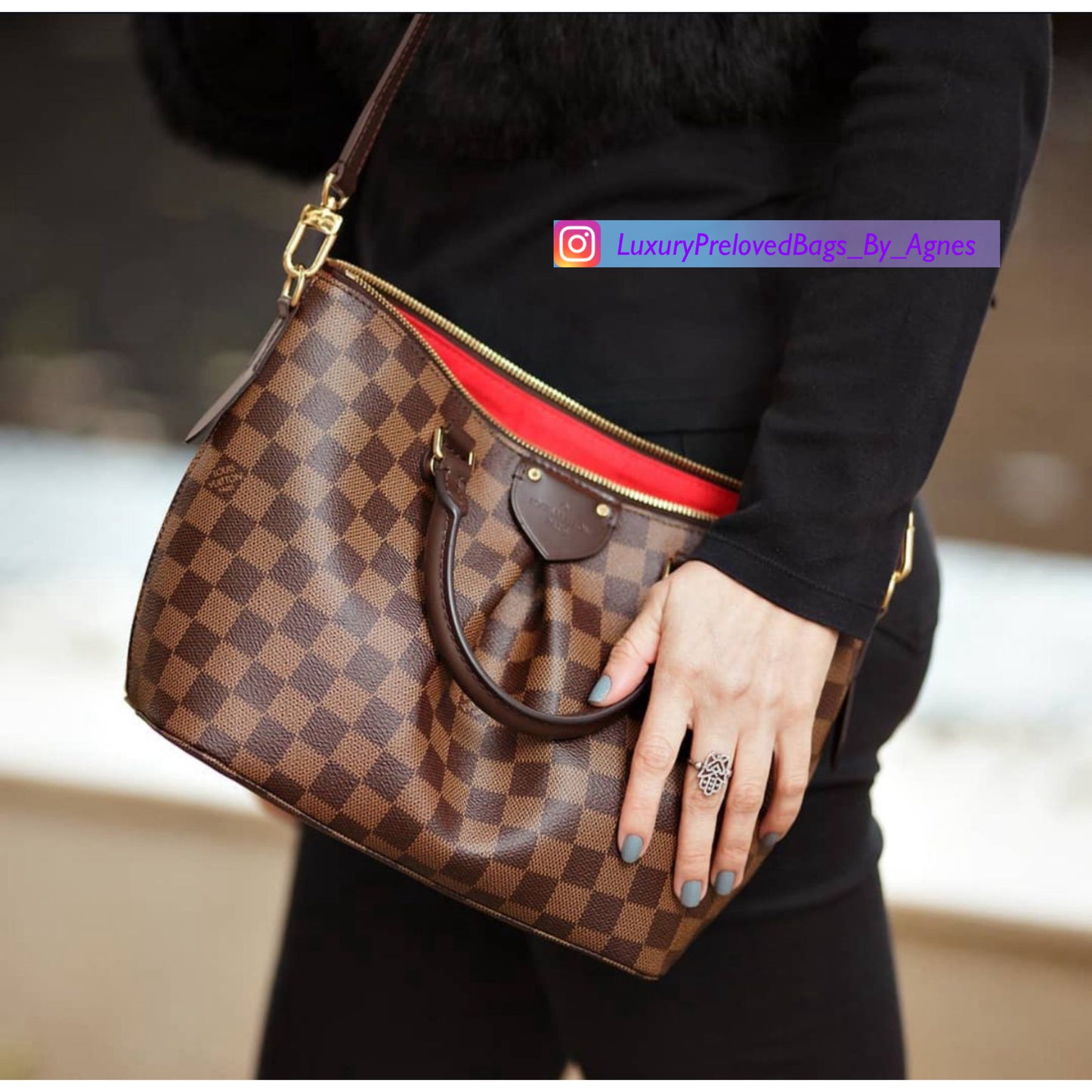 Louis Vuitton Siena Pm Damier Ebene
