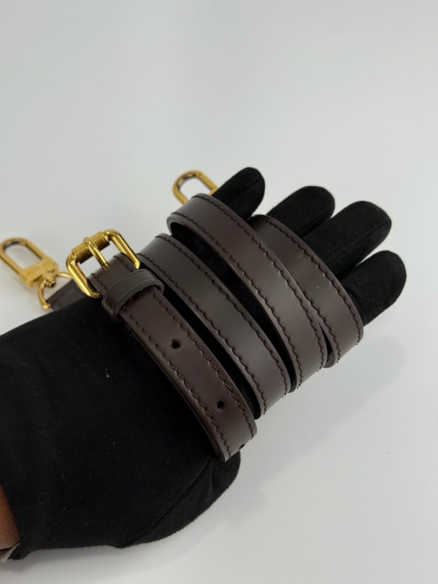 Louis Vuitton Siena Pm Damier Ebene