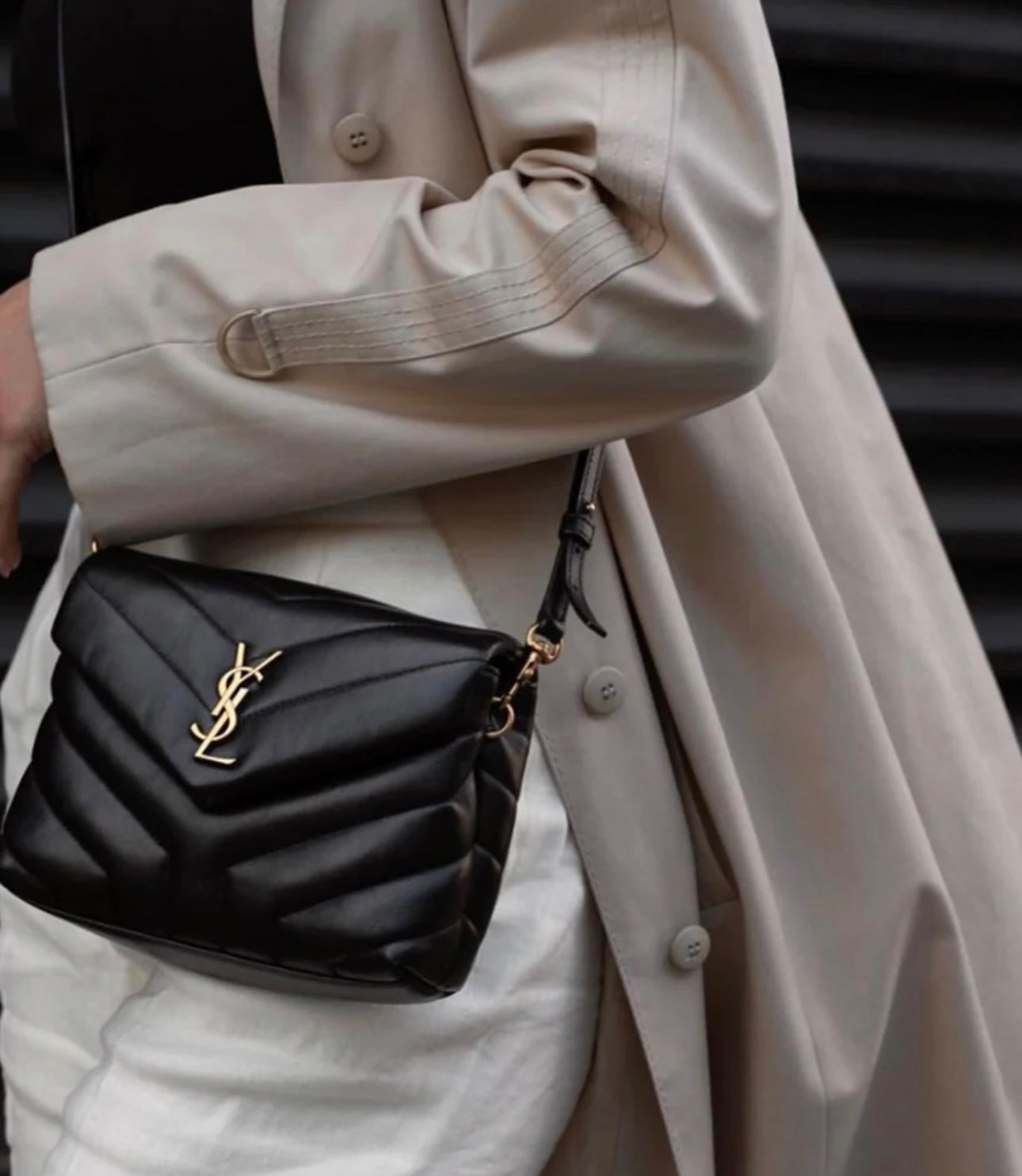 Ysl Toy Loulou