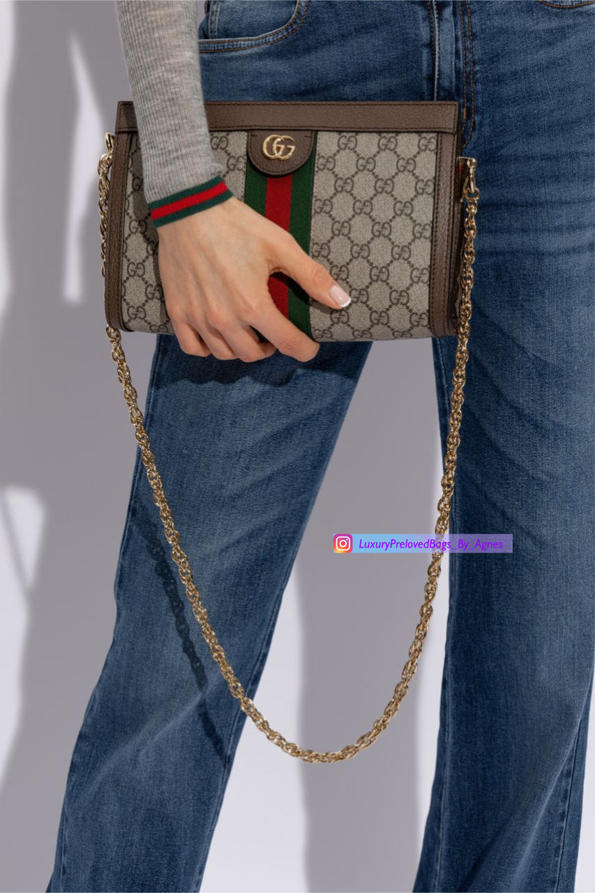 Gucci Ophidia Chain Shoulder Bag