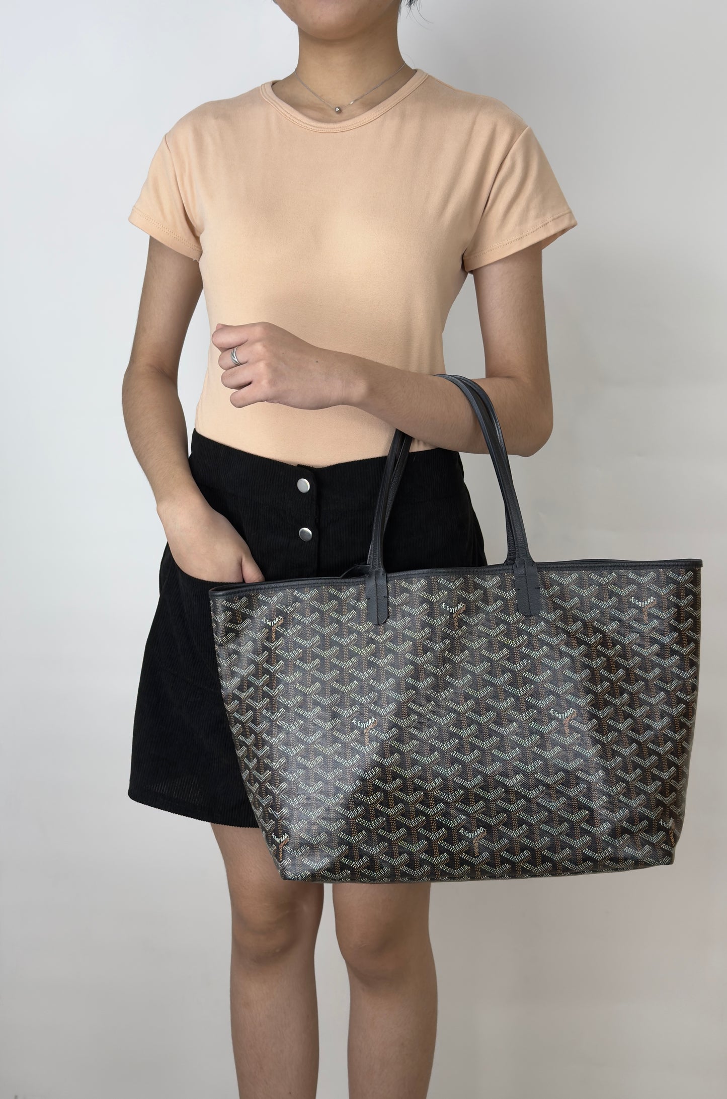 Goyard St Louis Pm