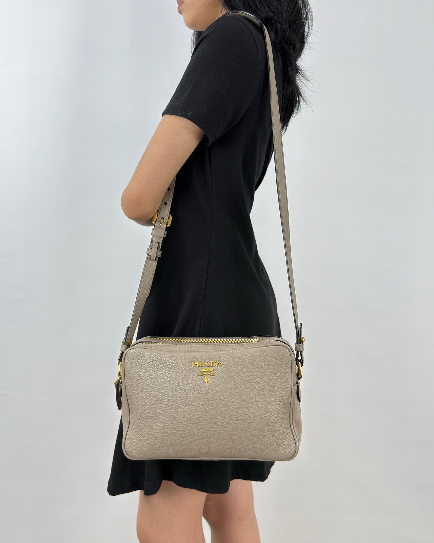 Prada Vitello Phenix Camera Bag Argilla Double Zip