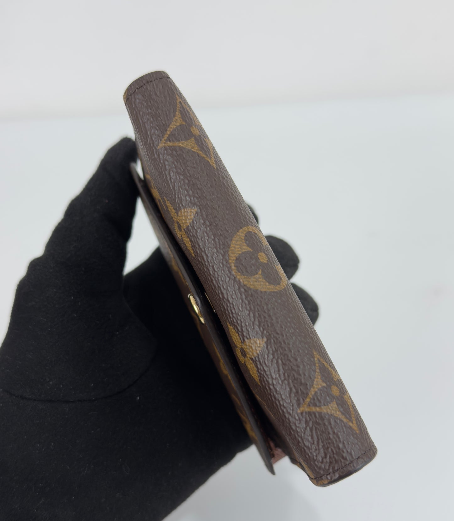Lv Victorine Monogram