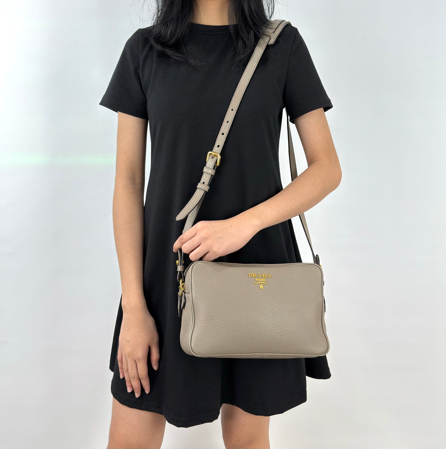 Prada Vitello Phenix Camera Bag Argilla Double Zip