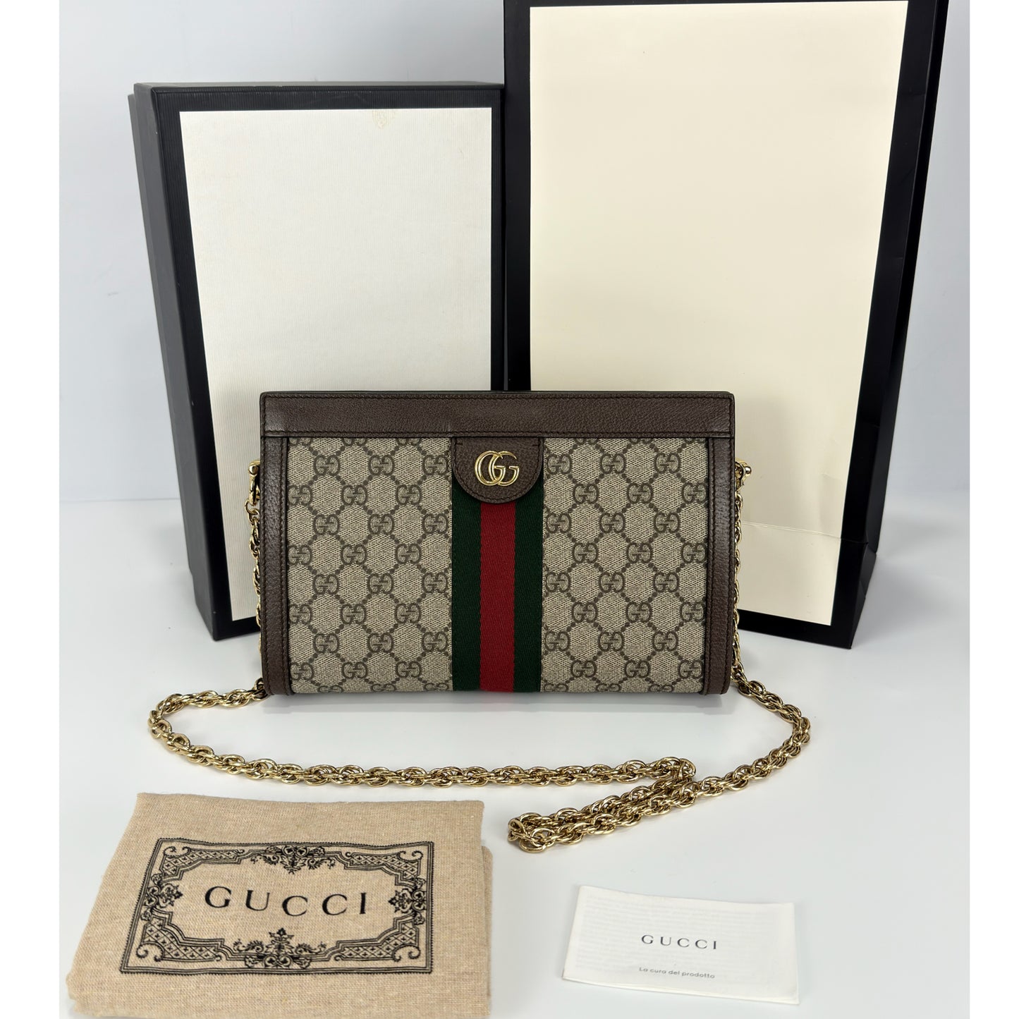 Gucci Ophidia Chain Shoulder Bag