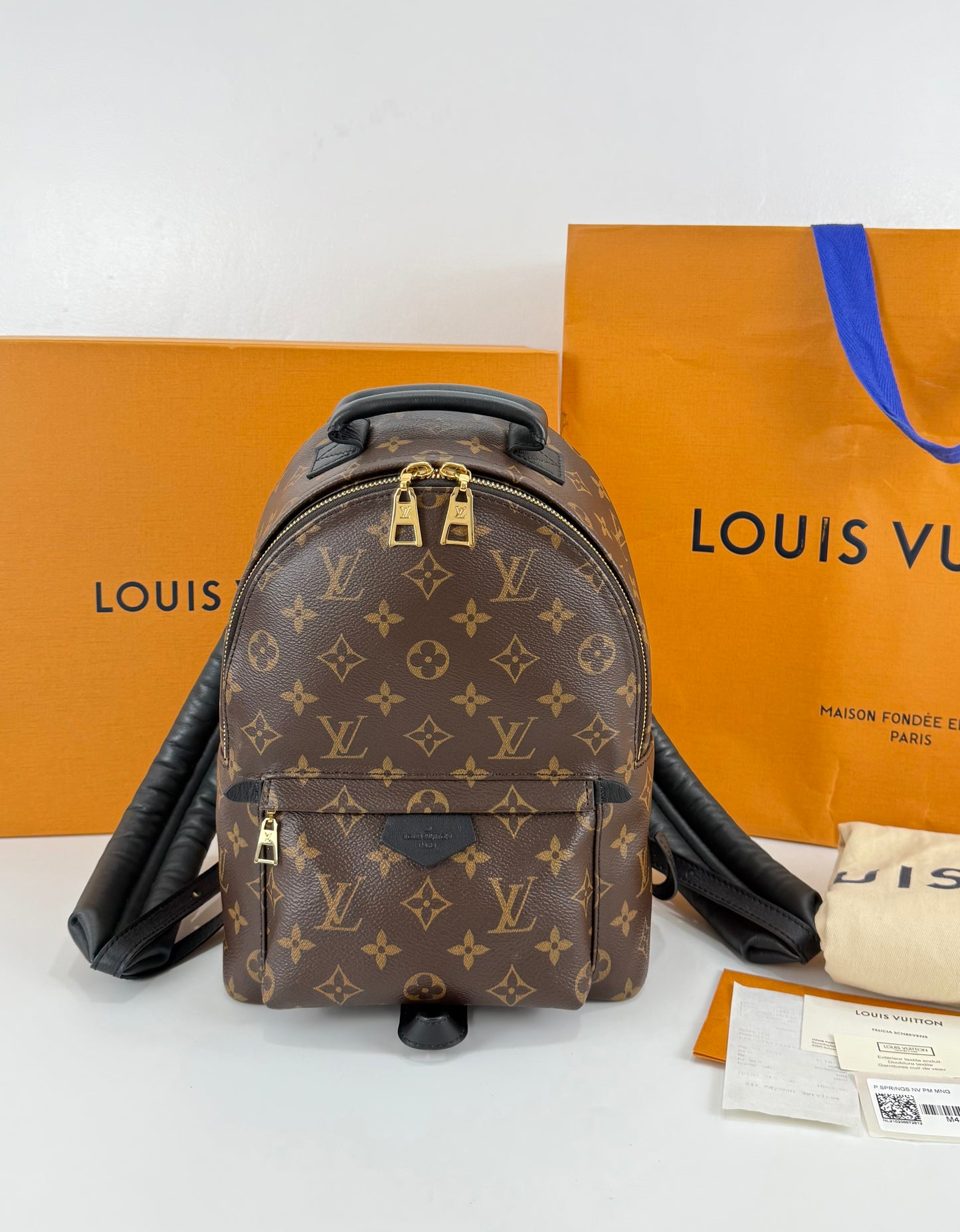 Louis Vuitton Palm Spring PM Monogram Backpack