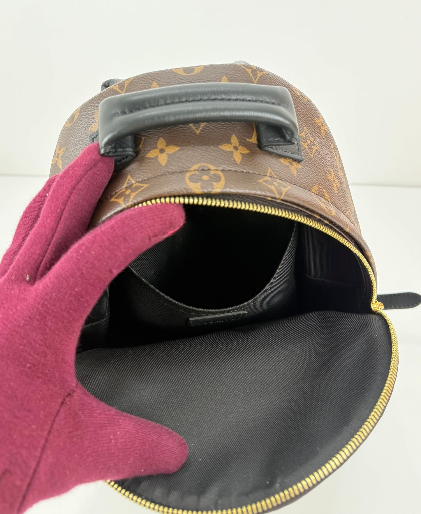 Louis Vuitton Palm Spring PM Monogram Backpack