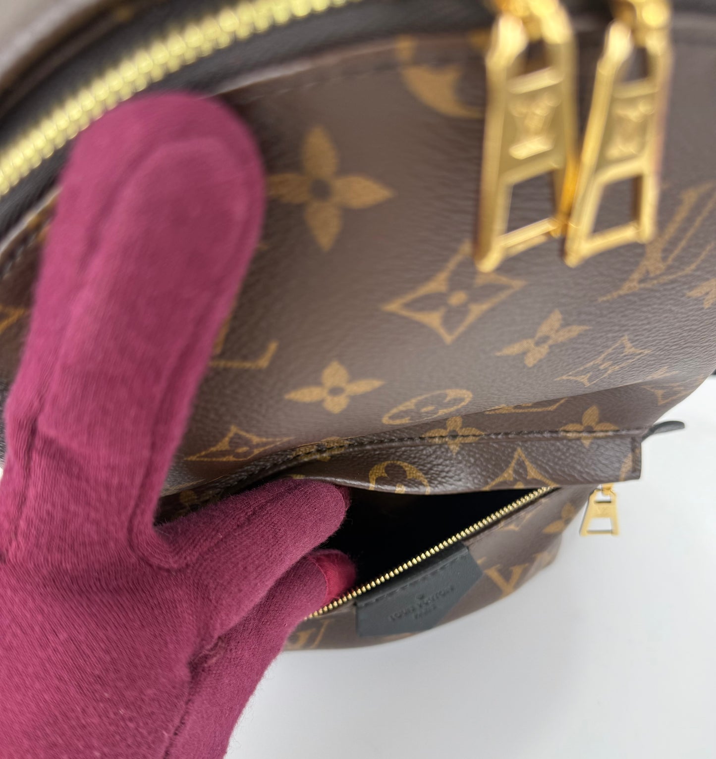Louis Vuitton Palm Spring PM Monogram Backpack