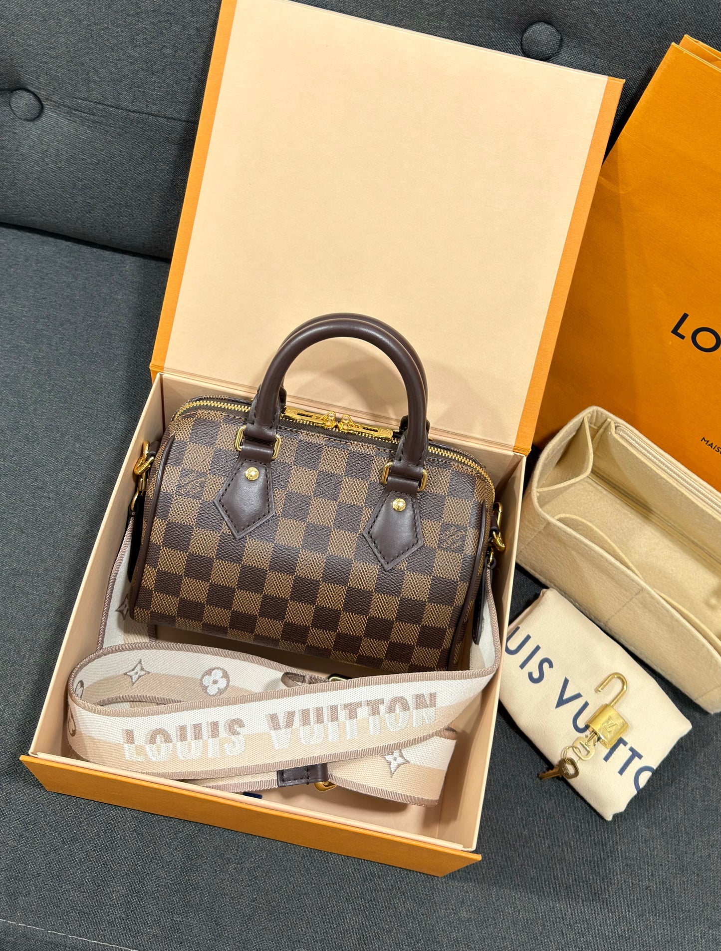 Louis Vuitton Speedy Bandoulière 20 Damier Ebene