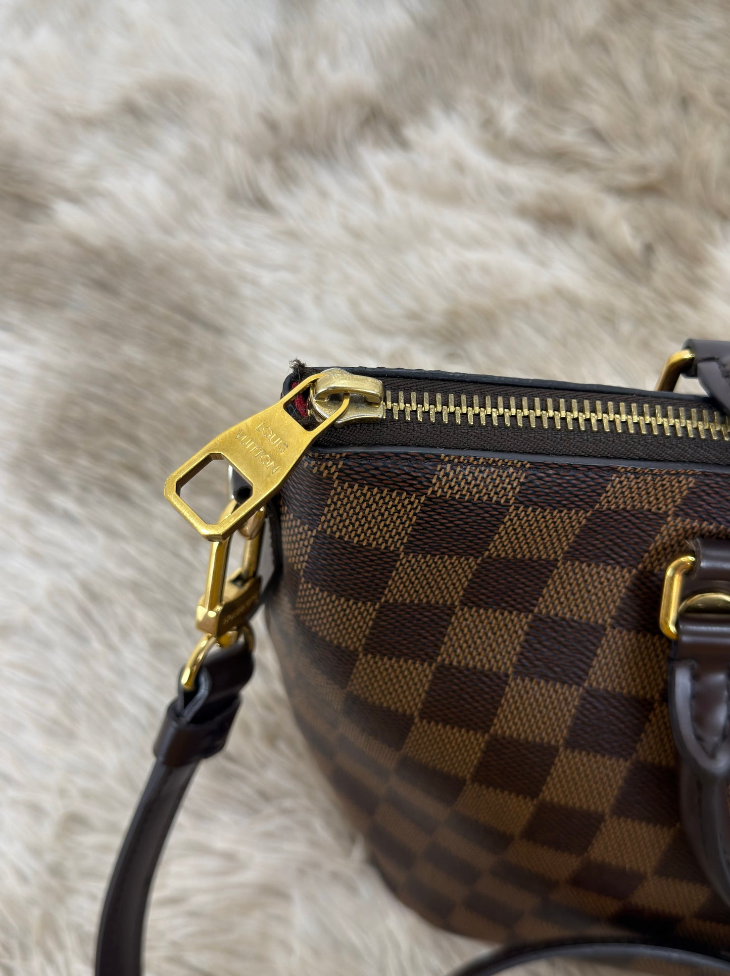 Louis Vuitton Siena PM Damier Ebene