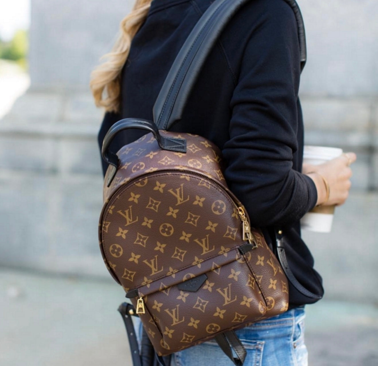 Louis Vuitton Palm Spring PM Monogram Backpack