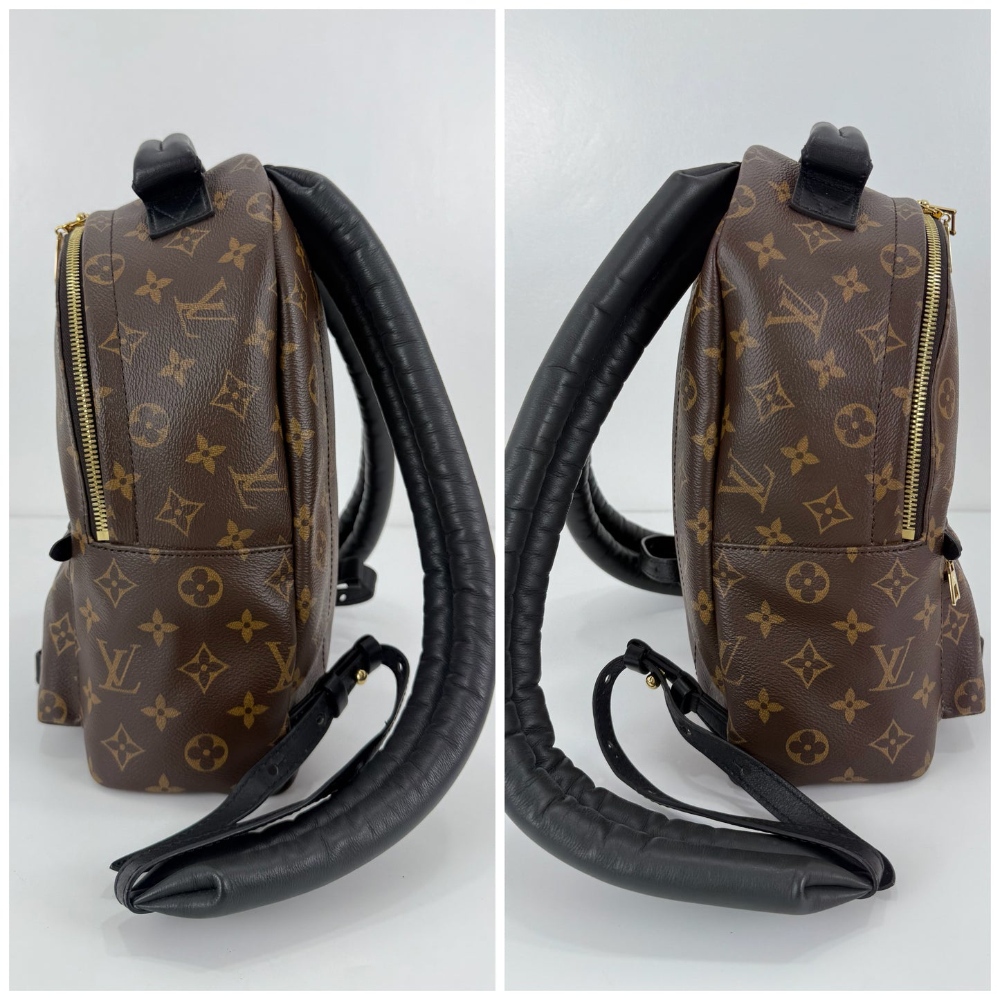 Louis Vuitton Palm Spring PM Monogram Backpack