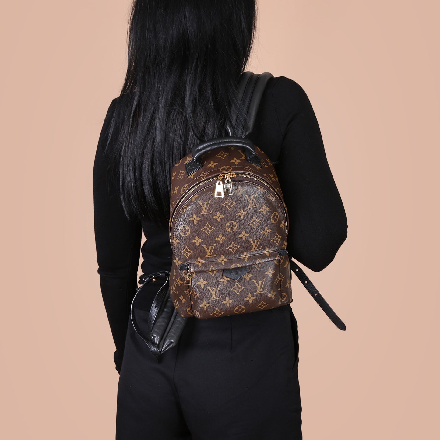 Louis Vuitton Palm Spring PM Monogram Backpack
