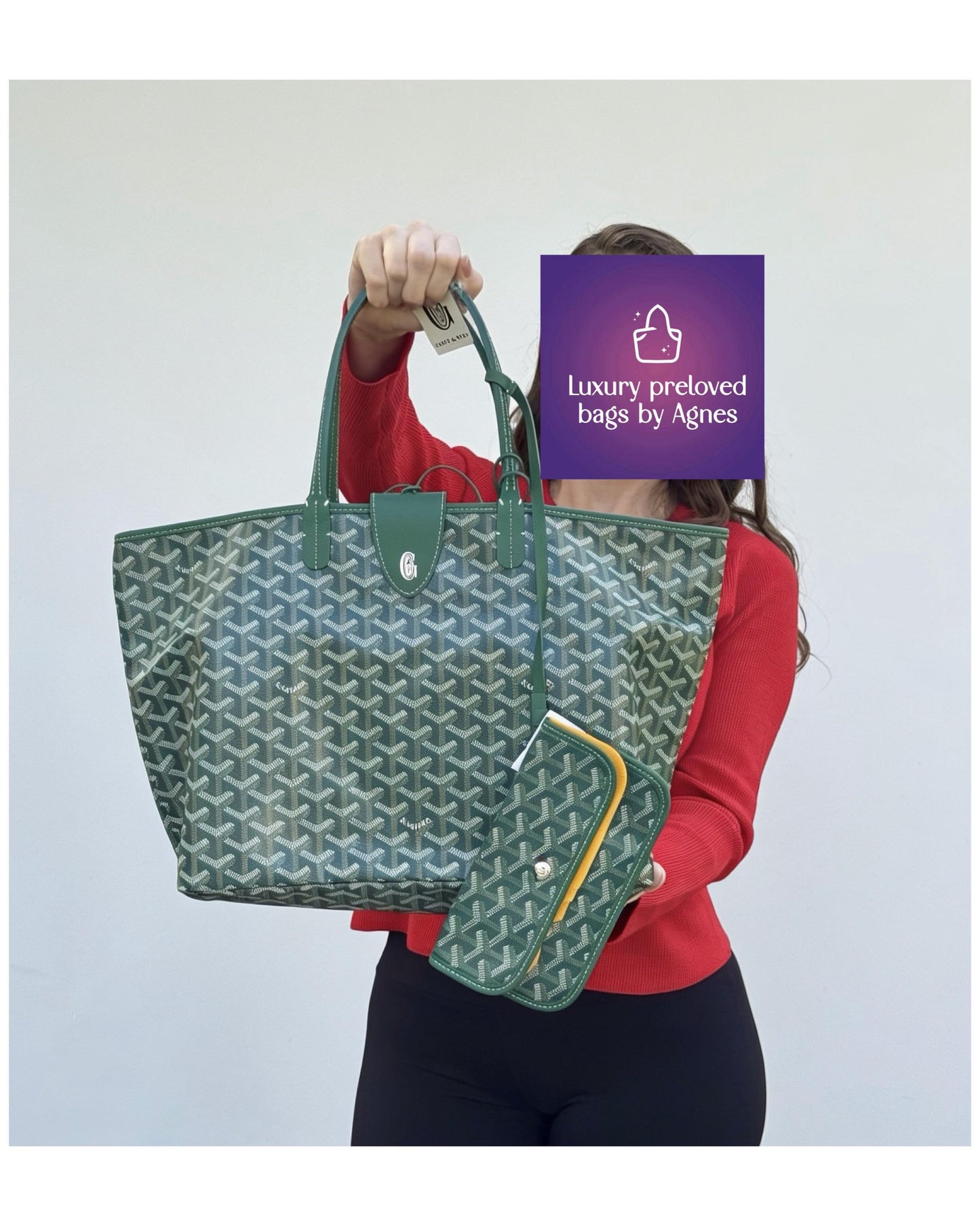 Goyard Saint Louis PM Tote Bag