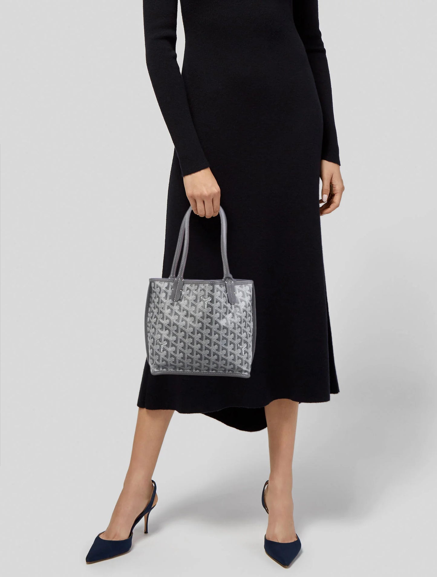 Goyard Anjou Mini Reversible Tote Bag