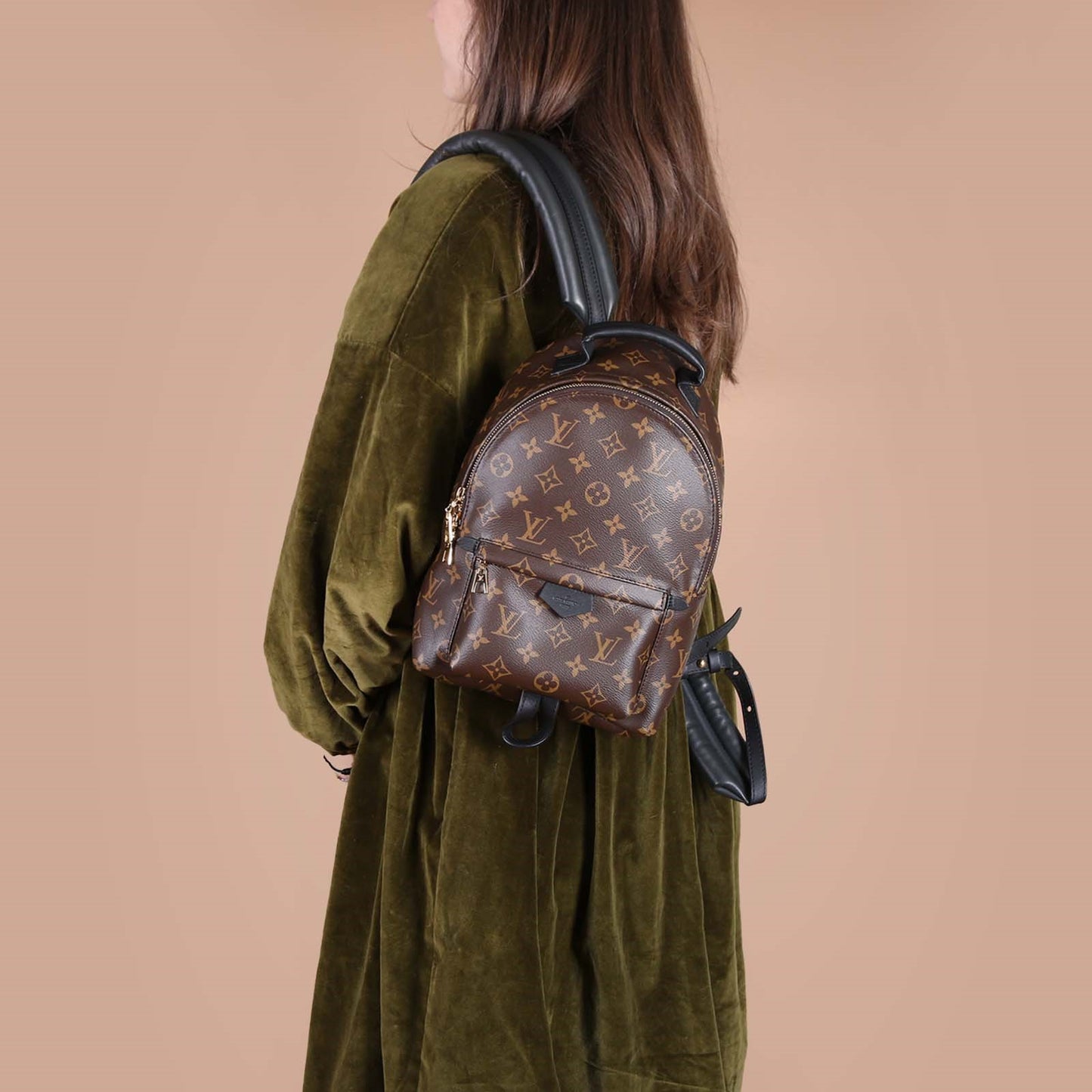 Louis Vuitton Palm Spring PM Monogram Backpack