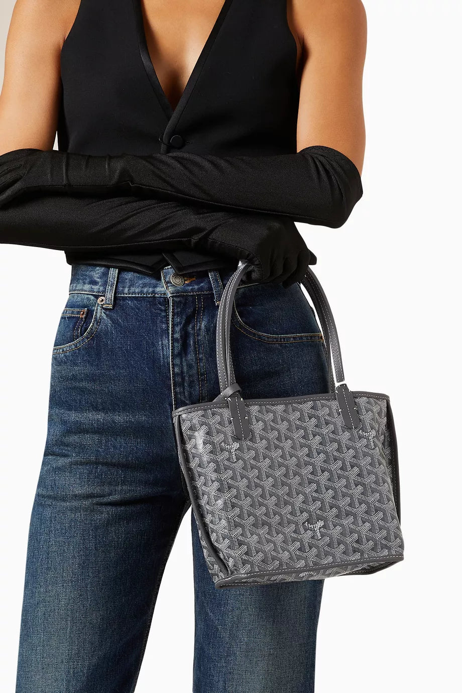 Goyard Anjou Mini Reversible Tote Bag