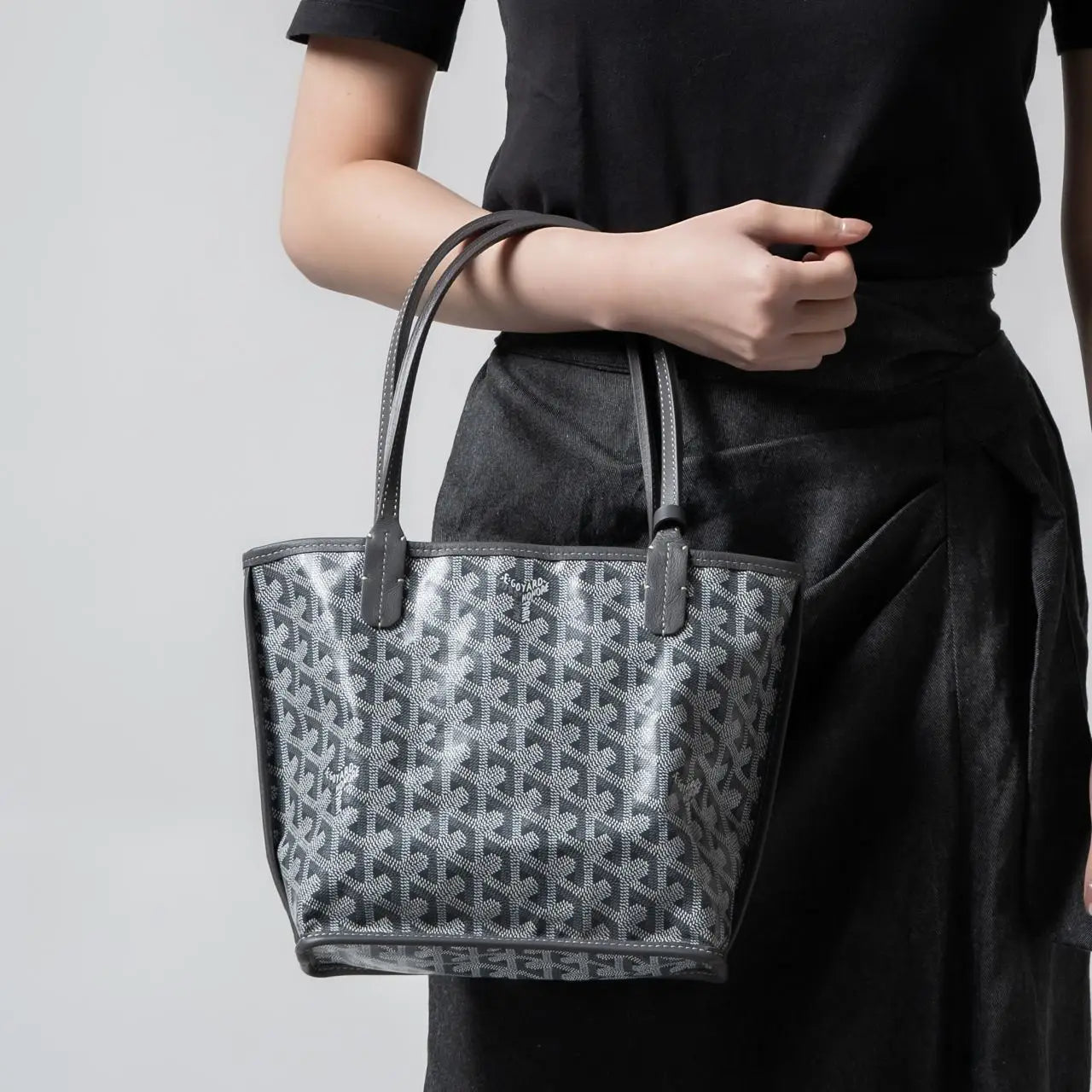 Goyard Anjou Mini Reversible Tote Bag