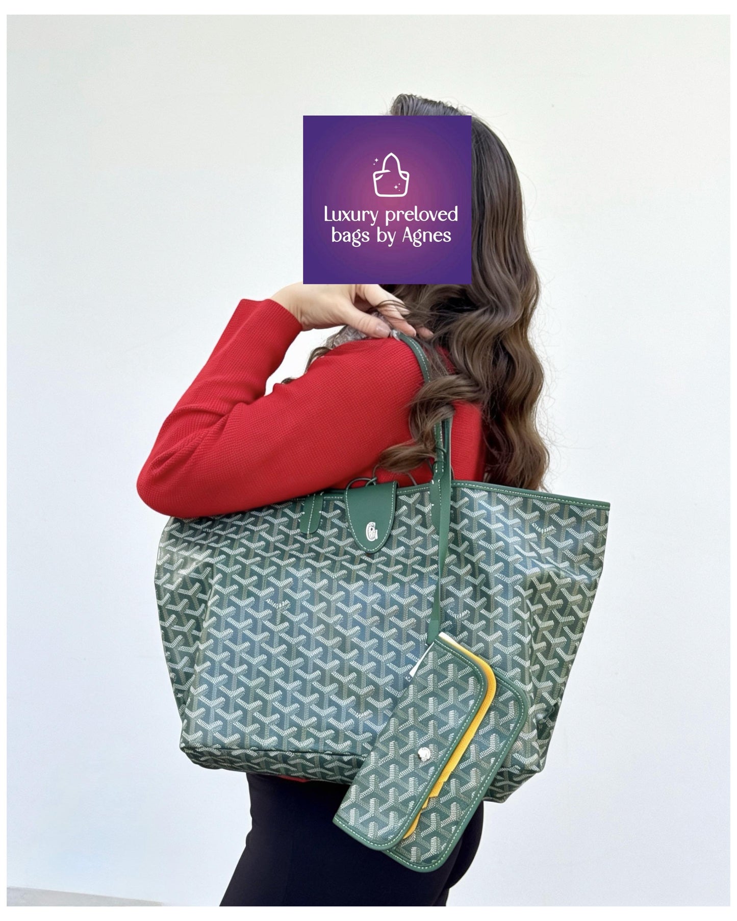 Goyard Saint Louis PM Tote Bag