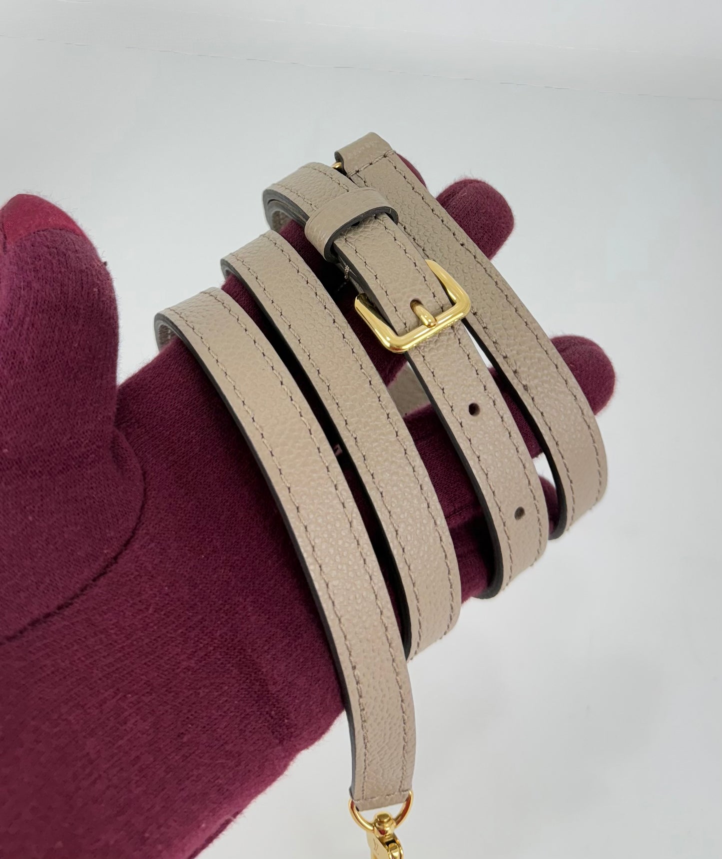 Louis Vuitton Nano Noé Bicolour Monogram Empreinte