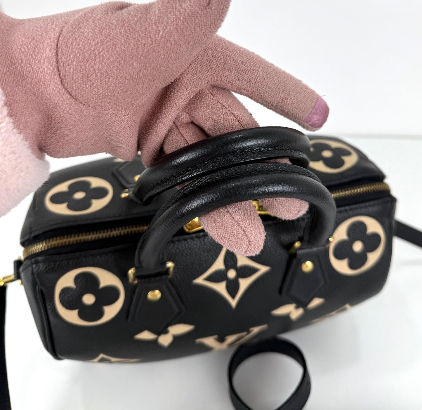 Louis Vuitton Speedy Bandoulière 25 Bicolor Monogram