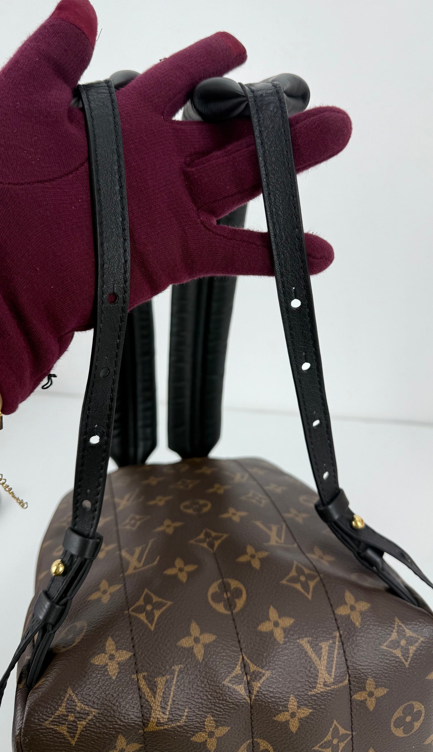 Louis Vuitton Palm Spring PM Monogram Backpack
