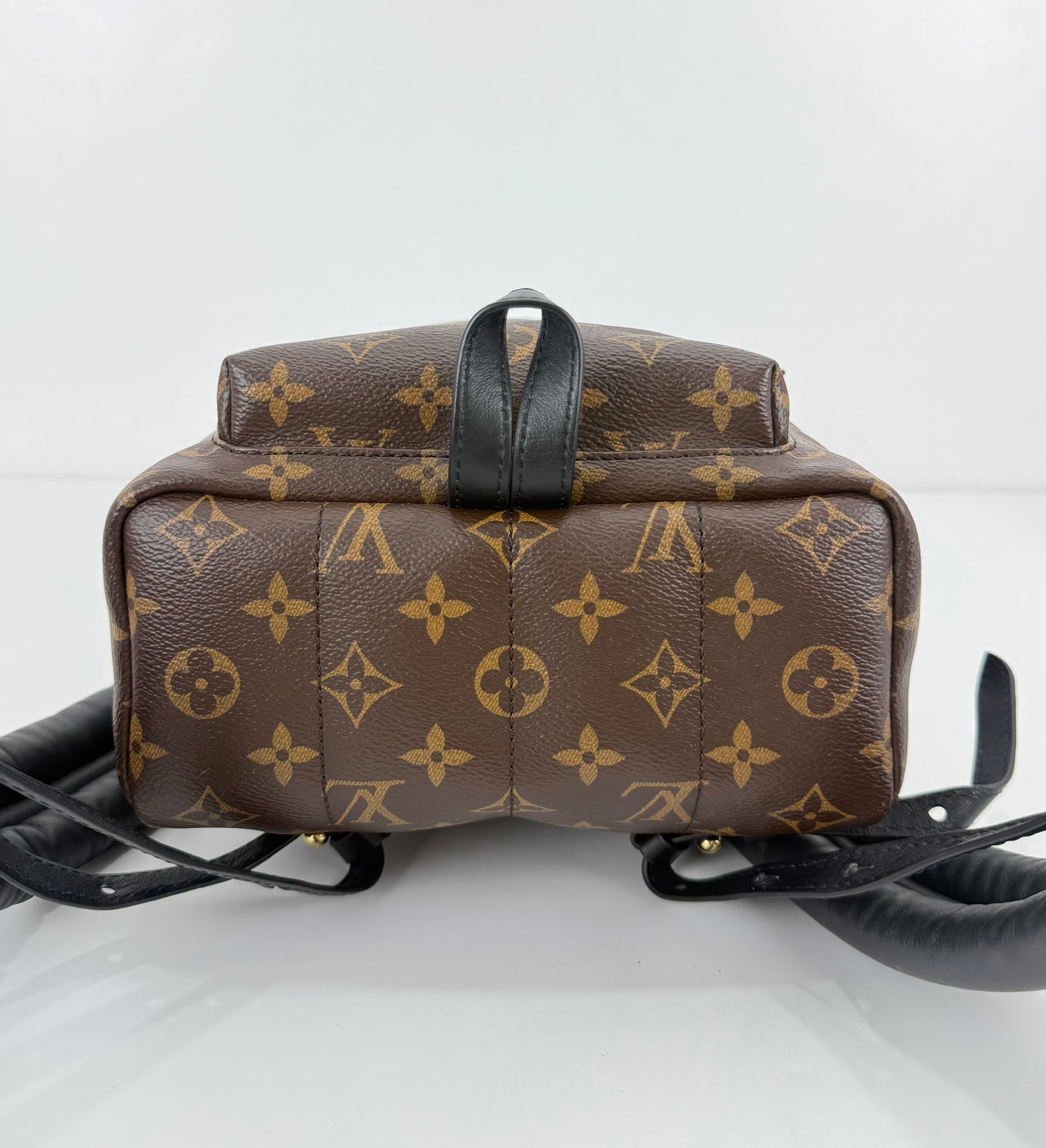 Louis Vuitton Palm Spring PM Monogram Backpack