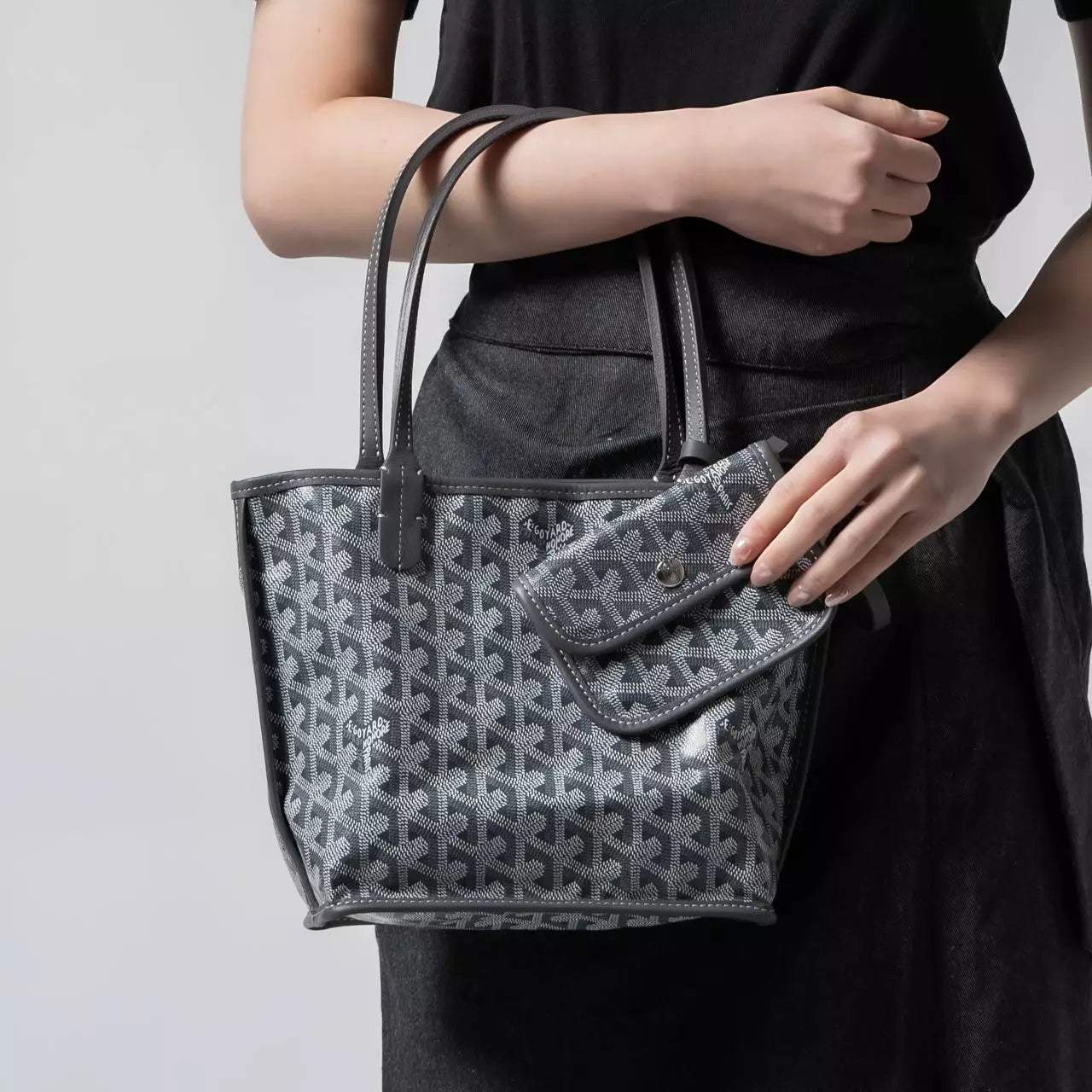 Goyard Anjou Mini Reversible Tote Bag