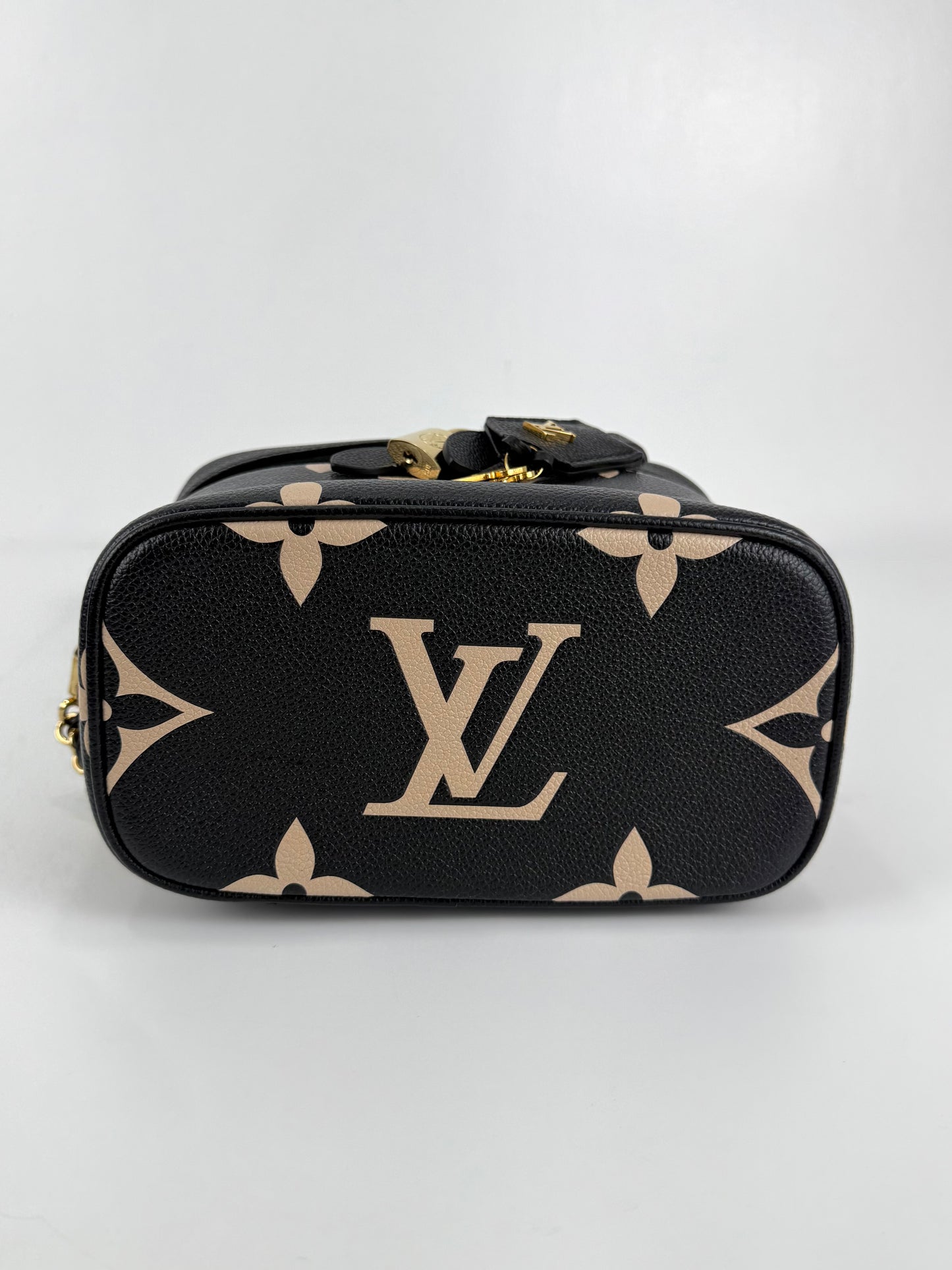 Louis Vuitton Vanity PM Bicolour Monogram Empreinte Leather
