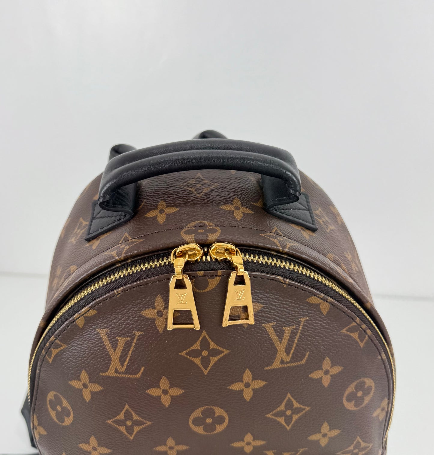 Louis Vuitton Palm Spring PM Monogram Backpack