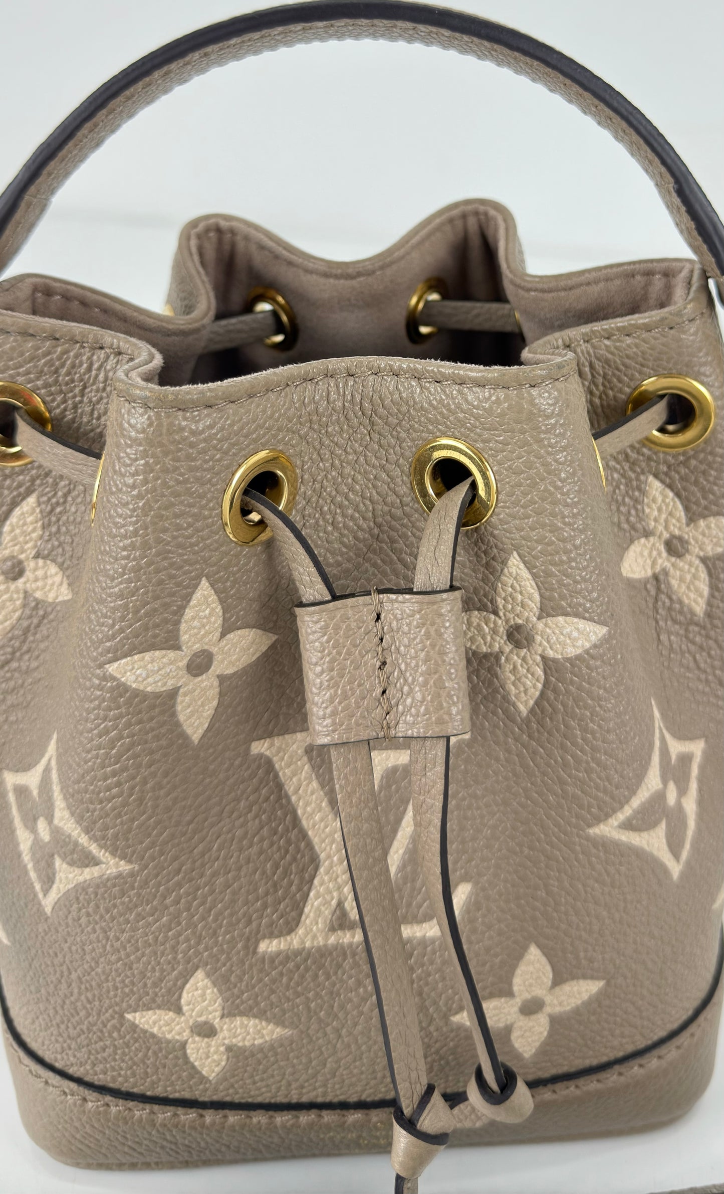 Louis Vuitton Nano Noé Bicolour Monogram Empreinte