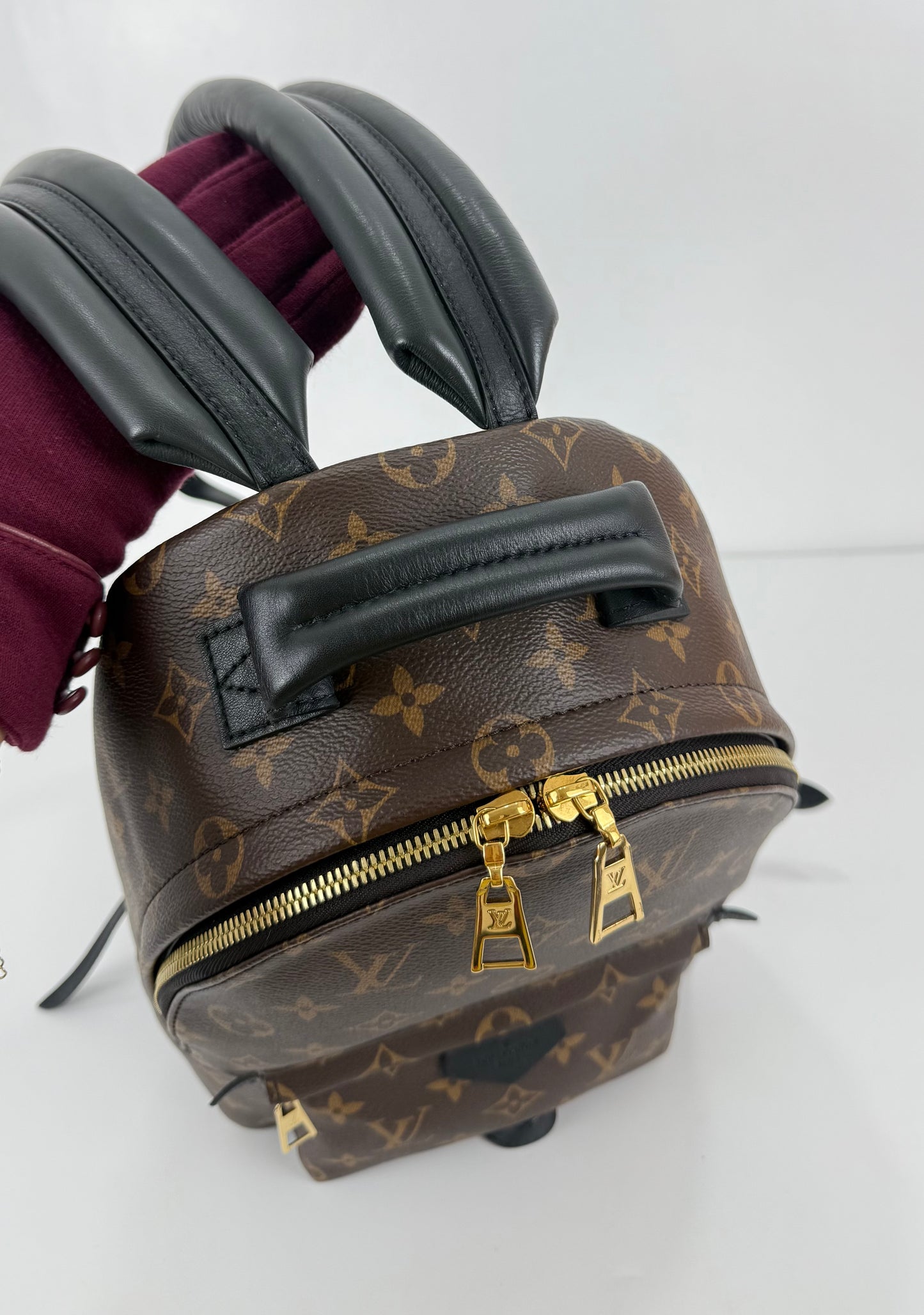 Louis Vuitton Palm Spring PM Monogram Backpack