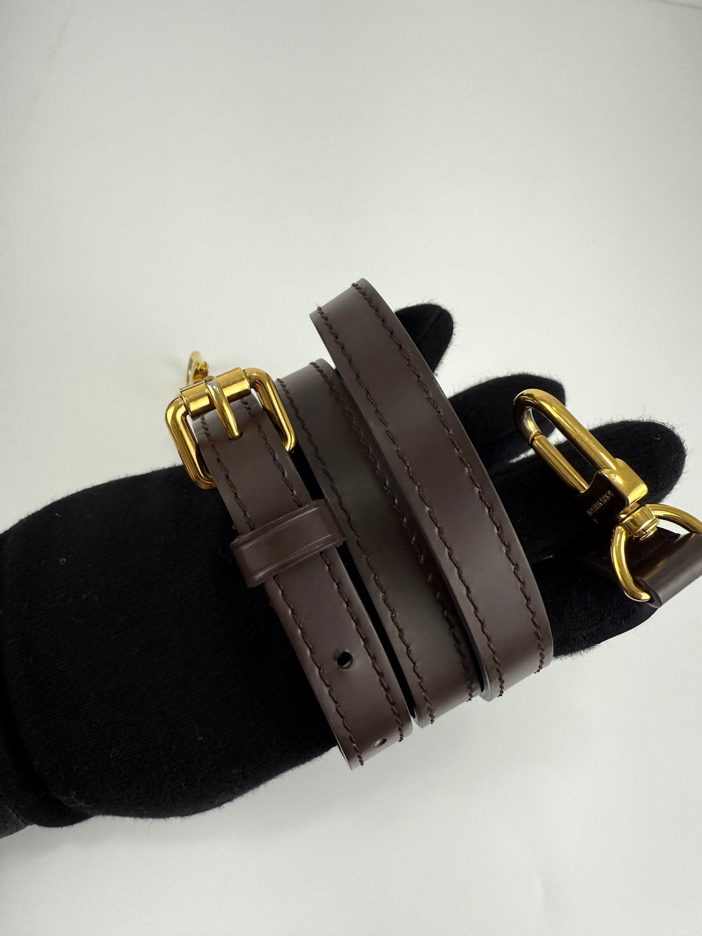 Louis Vuitton Damier Ebene Siena MM