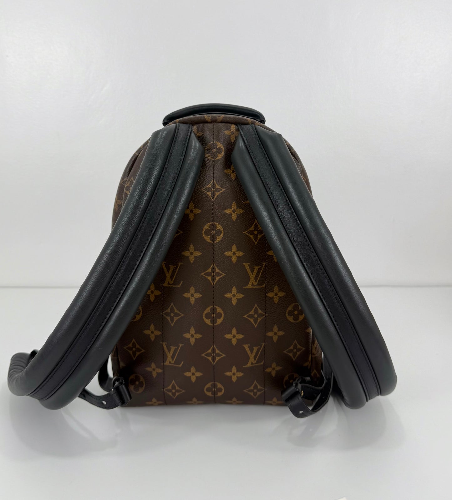 Louis Vuitton Palm Spring PM Monogram Backpack