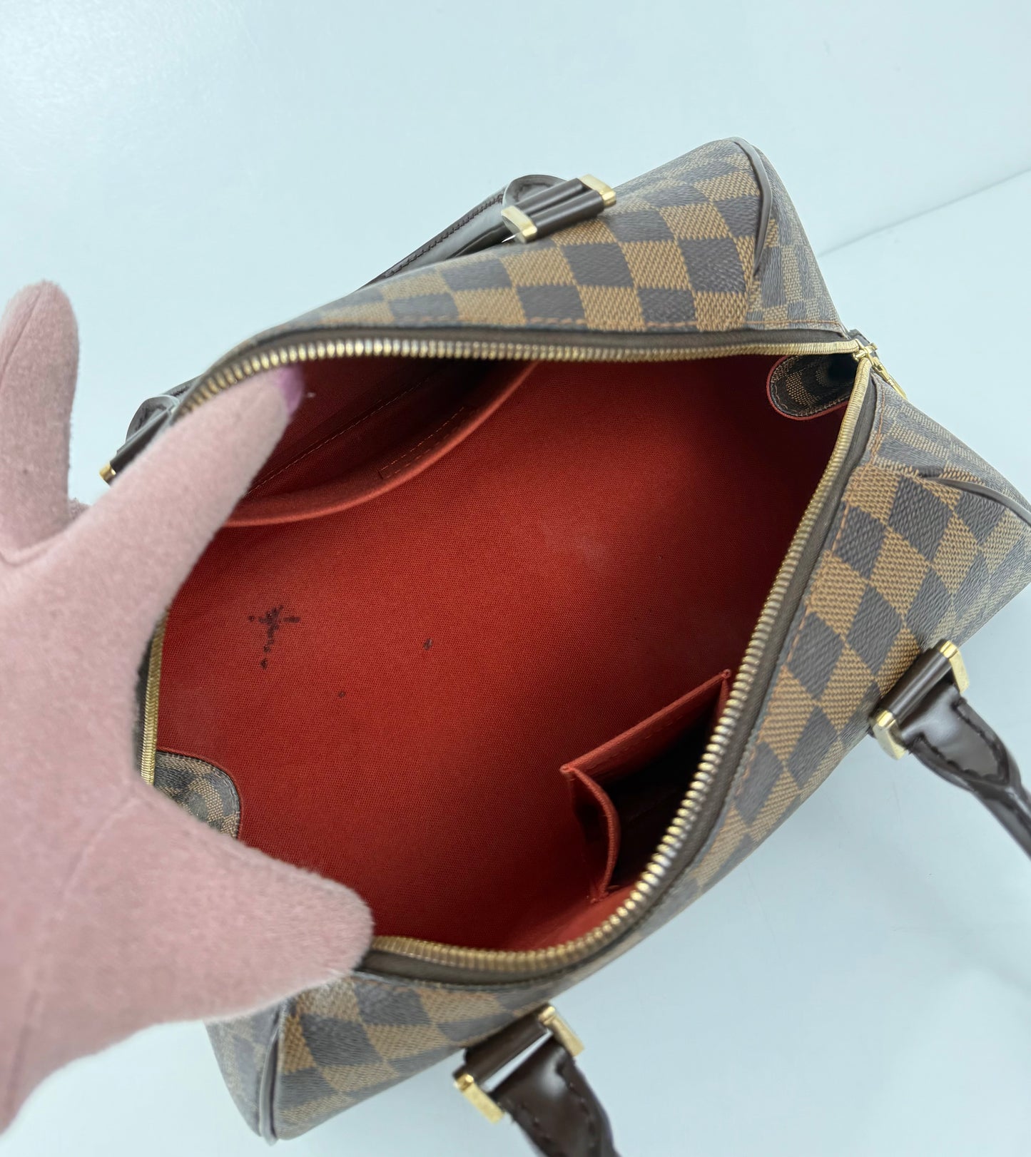 Louis Vuitton Damier Ebene Ribera MM