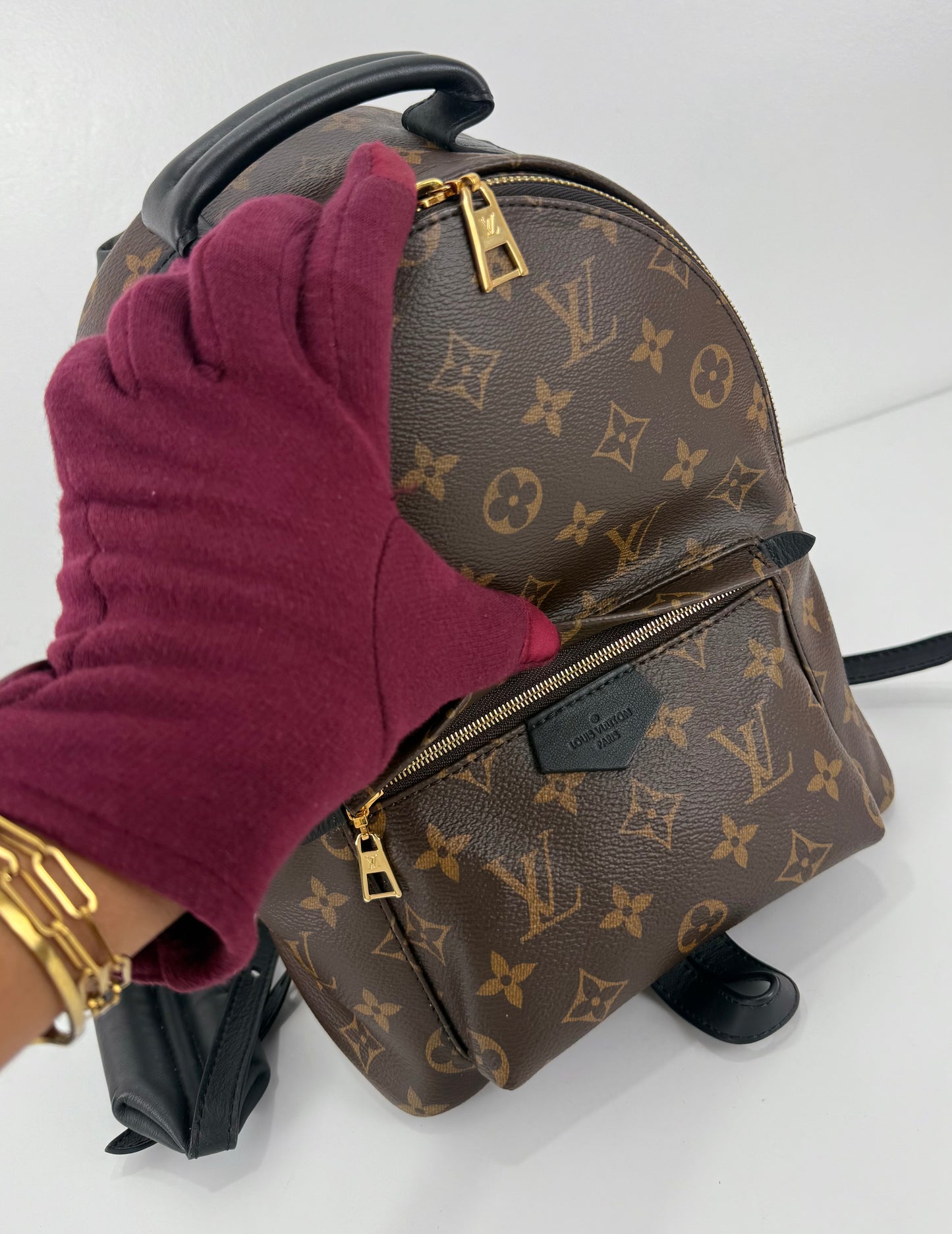 Louis Vuitton Palm Spring PM Monogram Backpack