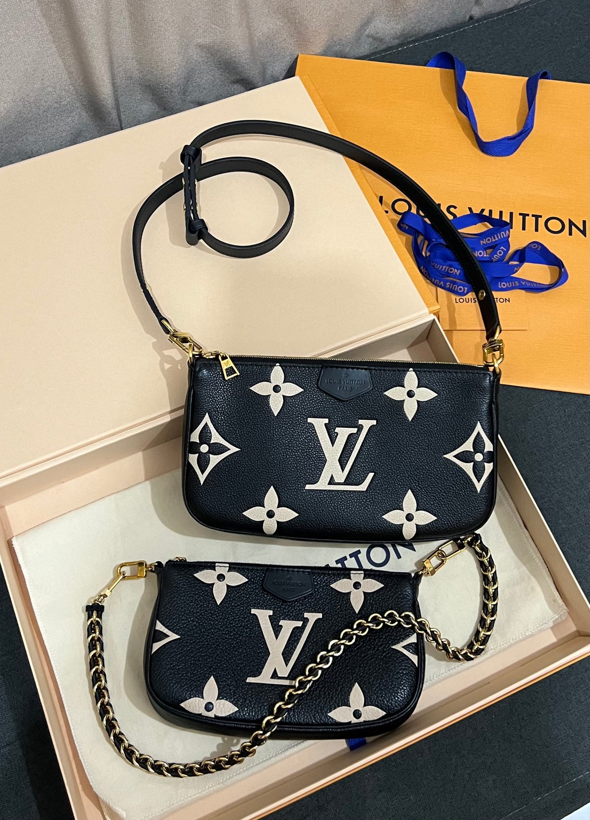 Louis Vuitton Multi Pochette Accessoires Bicolor