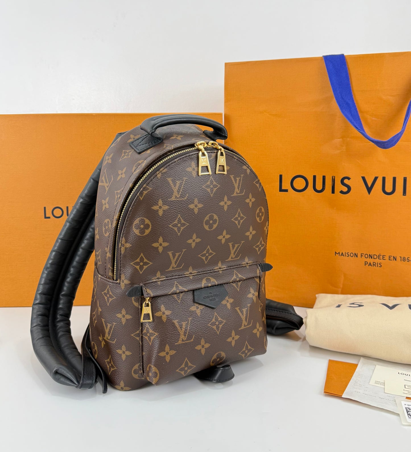 Louis Vuitton Palm Spring PM Monogram Backpack