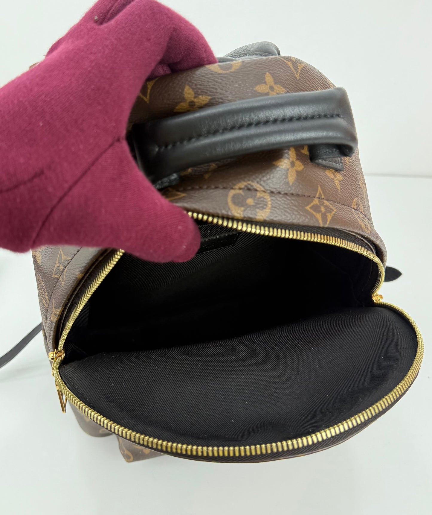 Louis Vuitton Palm Spring PM Monogram Backpack