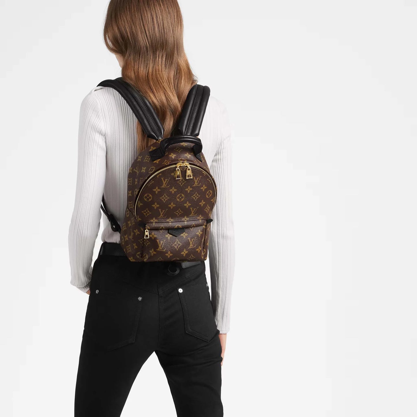 Louis Vuitton Palm Spring PM Monogram Backpack