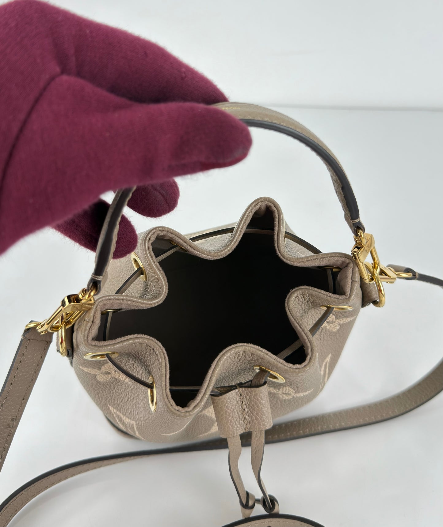 Louis Vuitton Nano Noé Bicolour Monogram Empreinte