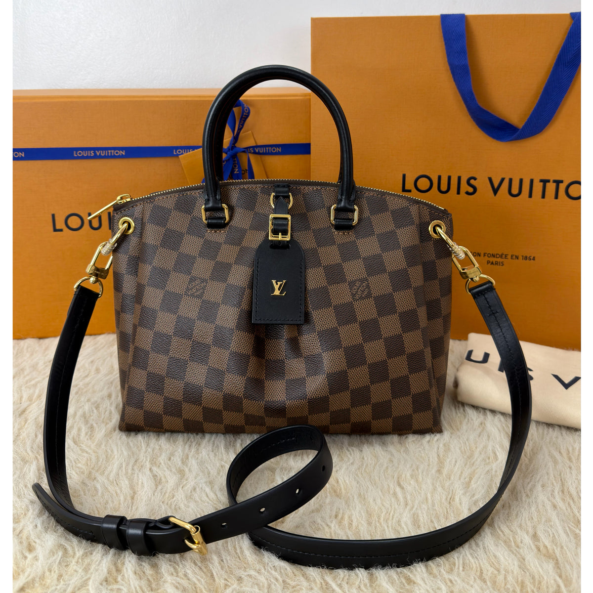 Louis Vuitton Odeon Tote PM Damier Ebene