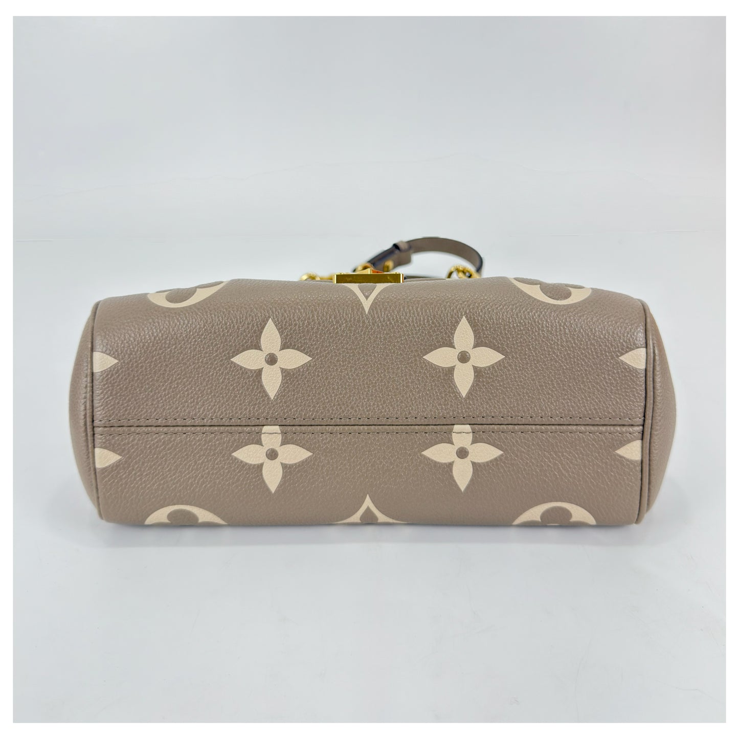 Louis Vuitton Favorite Bicolor Monogram Empreinte
