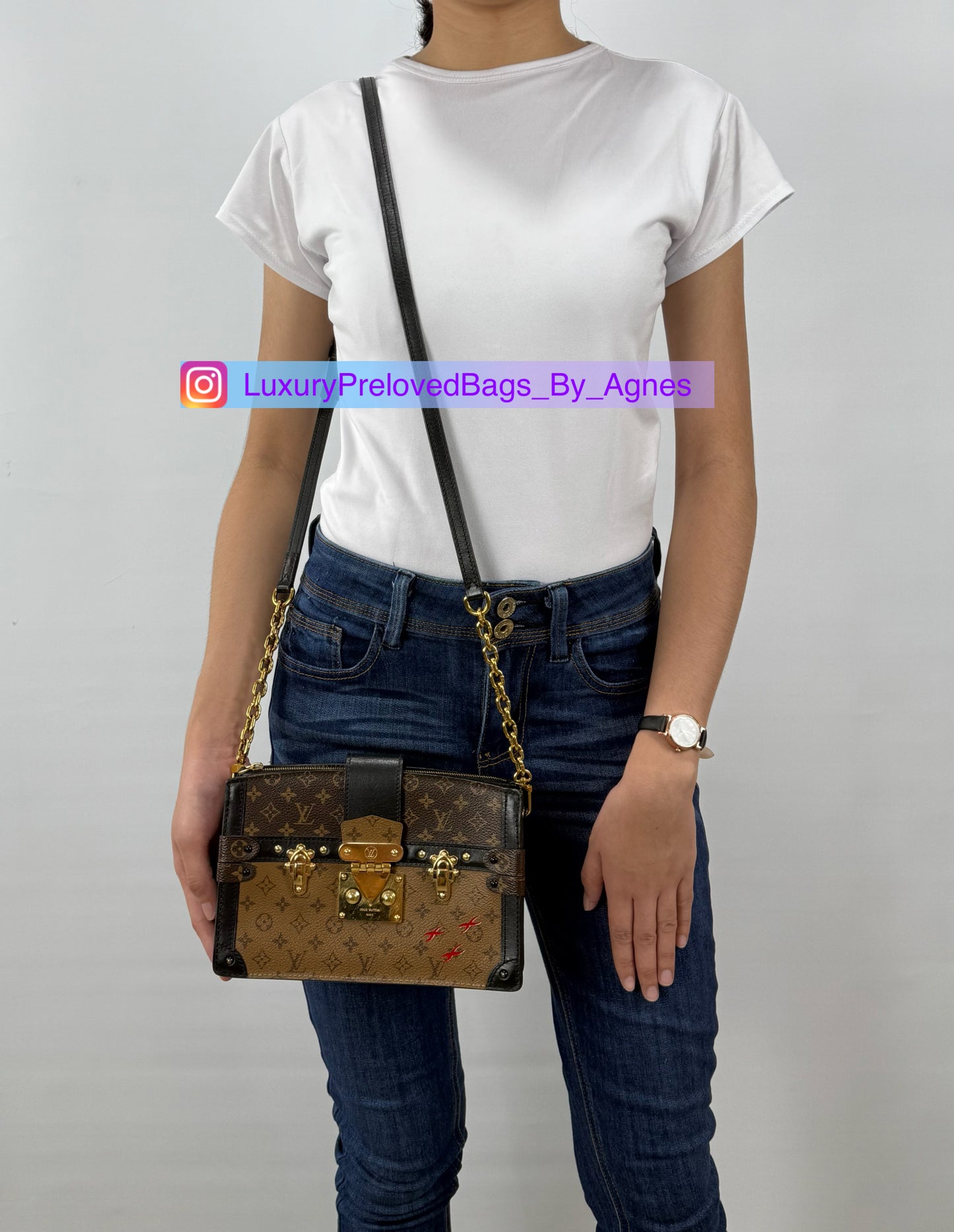 Louis Vuitton Trunk Clutch Reverse Monogram